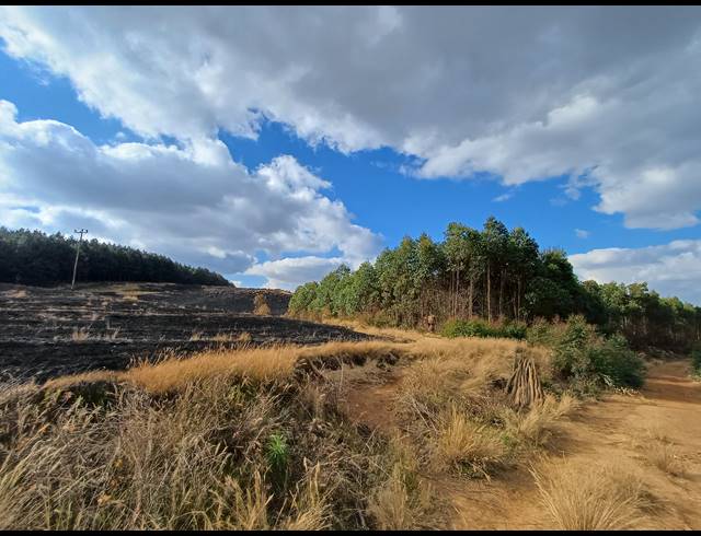 63.80HA FARM FOR SALE IN LIONS RIVER